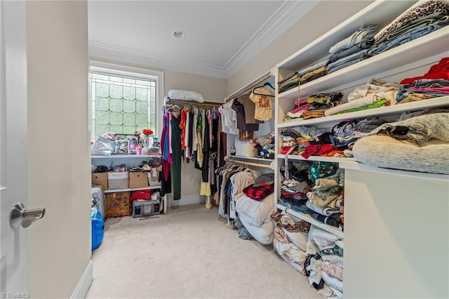 spacious closet with carpet