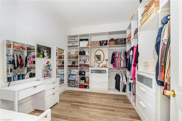 138 Arthur Needham Rd, Pilot Mountain, NC 27041 - walk in closet featuring light wood-style flooring