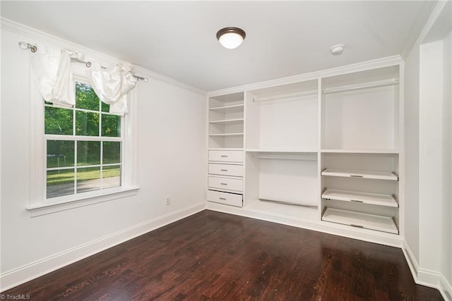interior space with baseboards, multiple windows, ornamental molding, and dark wood-style floors