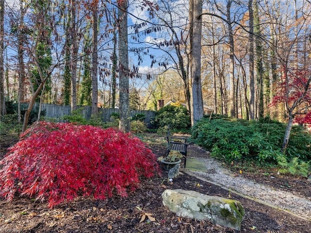 view of yard with fence