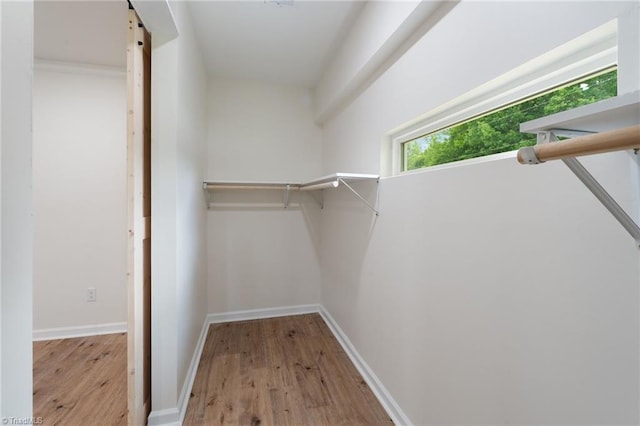 spacious closet with light wood-style flooring