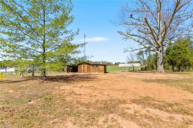 view of yard with a storage unit