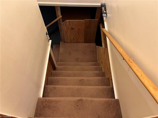 staircase featuring carpet flooring