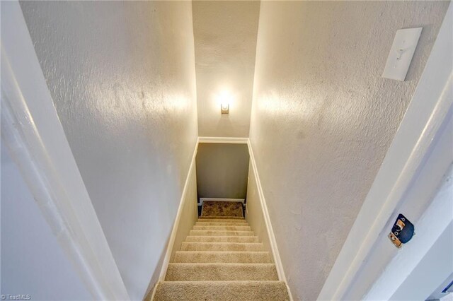 staircase featuring carpet flooring