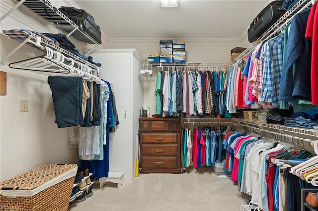 3805 Tangle Oak Dr, Clemmons, NC 27012 - spacious closet with carpet