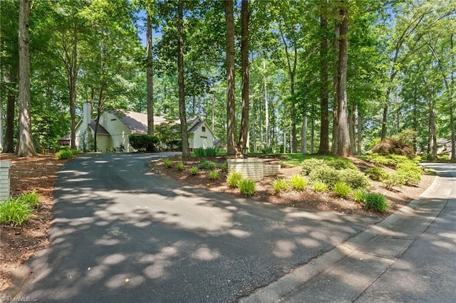 3805 Tangle Oak Dr, Clemmons, NC 27012 - view of asphalt driveway