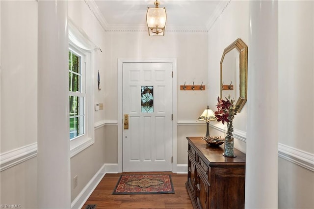 3805 Tangle Oak Dr, Clemmons, NC 27012 - entryway with plenty of natural light, dark wood finished floors, and crown molding
