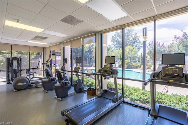 1101 N Elm St Unit 904, Greensboro, NC 27401 - exercise room featuring floor to ceiling windows and a paneled ceiling