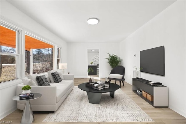 living room featuring light wood-type flooring