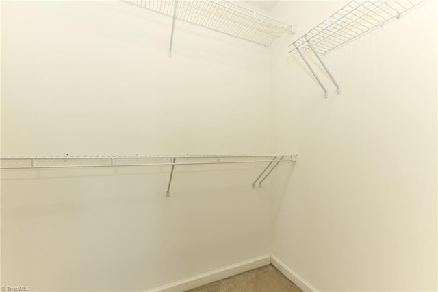 walk in closet with light colored carpet