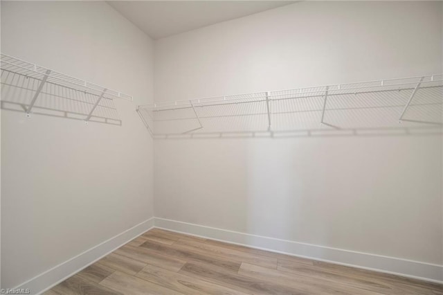 walk in closet featuring wood-type flooring