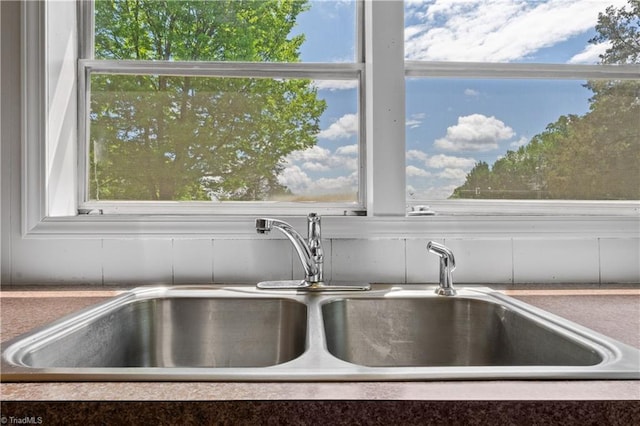 interior details with a sink