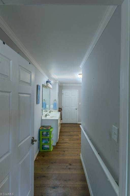 interior space with sink, crown molding, and dark hardwood / wood-style floors