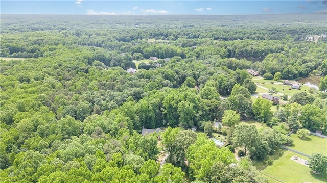 4904 Landaff Dr, Greensboro, NC 27406 - bird's eye view of a forest