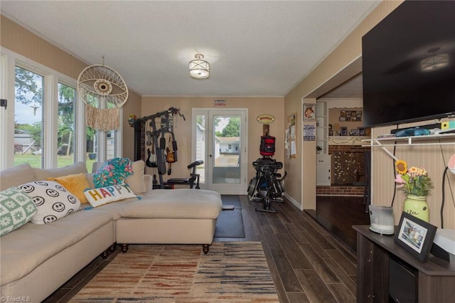 living area with crown molding, a wealth of natural light, and wood finished floors