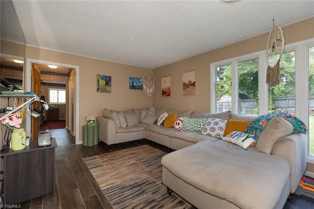 living room with ornamental molding, a textured ceiling, and wood finished floors