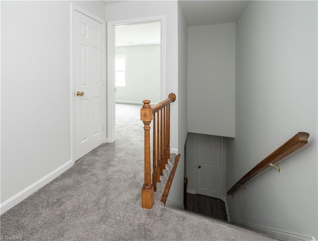 909 Shelby Dr Unit B, Greensboro, NC 27409 - stairs featuring carpet floors and baseboards