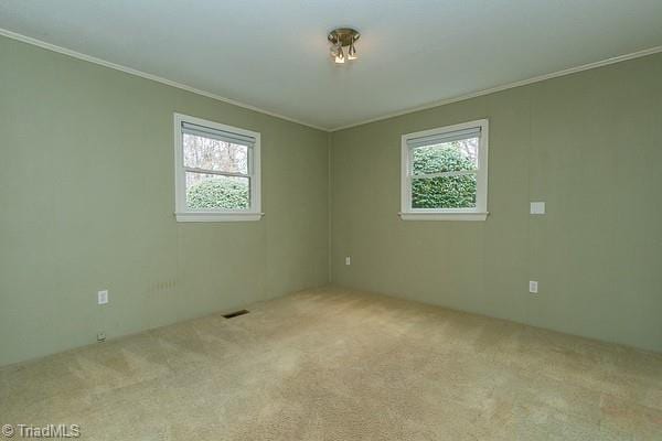 empty room featuring light colored carpet, a wealth of natural light, and ornamental molding