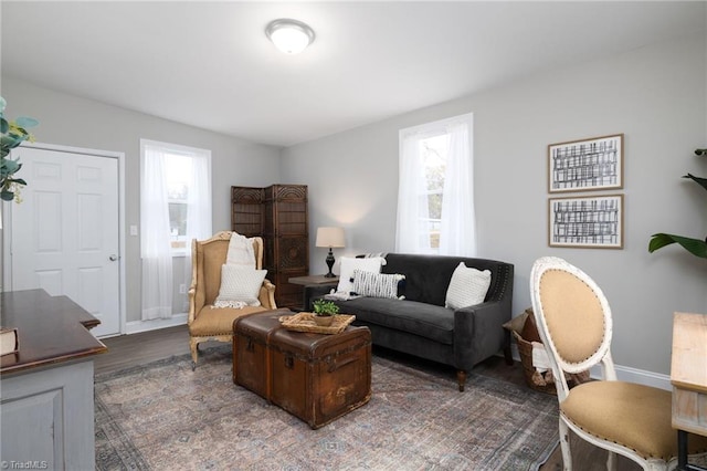 living room featuring dark wood-type flooring