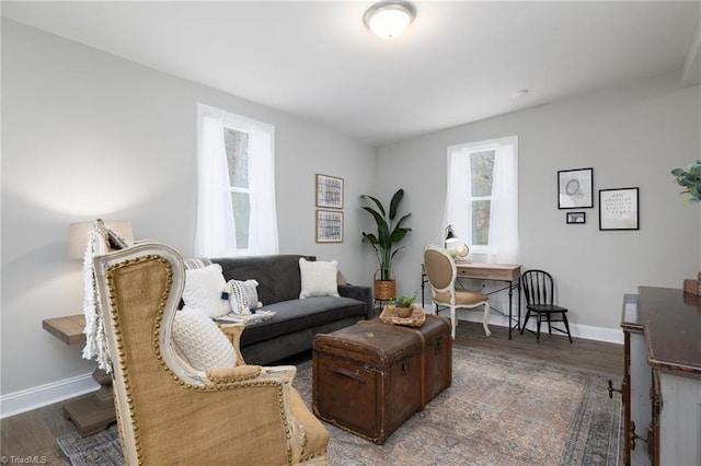 living room featuring dark hardwood / wood-style flooring