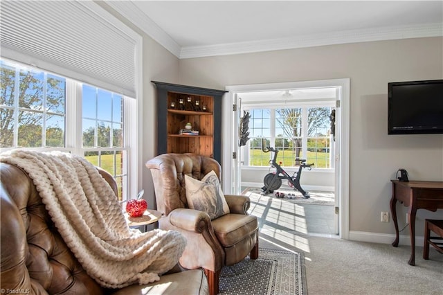 living area featuring carpet floors, a wealth of natural light, crown molding, and baseboards