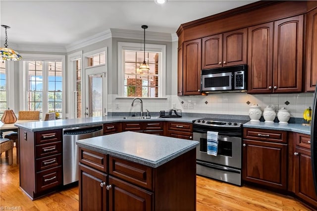 kitchen with light wood finished floors, appliances with stainless steel finishes, a sink, and crown molding