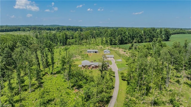 8521 US Highway 64 E, Ramseur, NC 27316 - overview of rural landscape featuring a forest