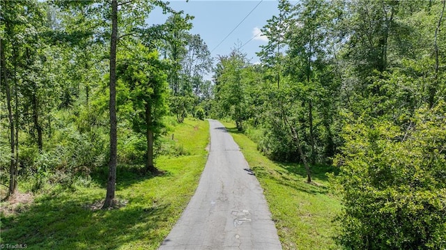 8521 US Highway 64 E, Ramseur, NC 27316 - view of asphalt street featuring a forest view