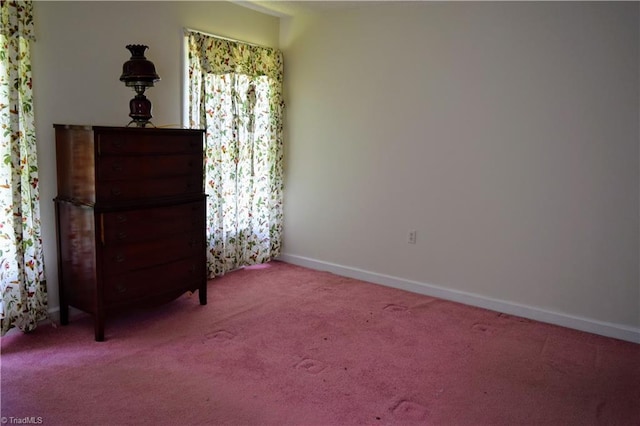 interior space featuring carpet floors