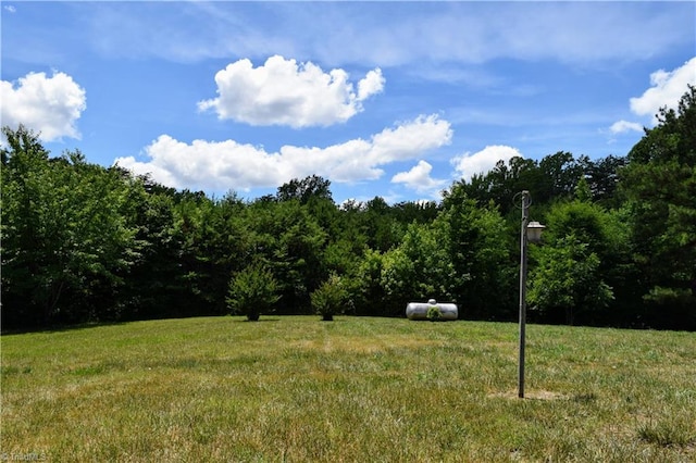 view of yard with a rural view