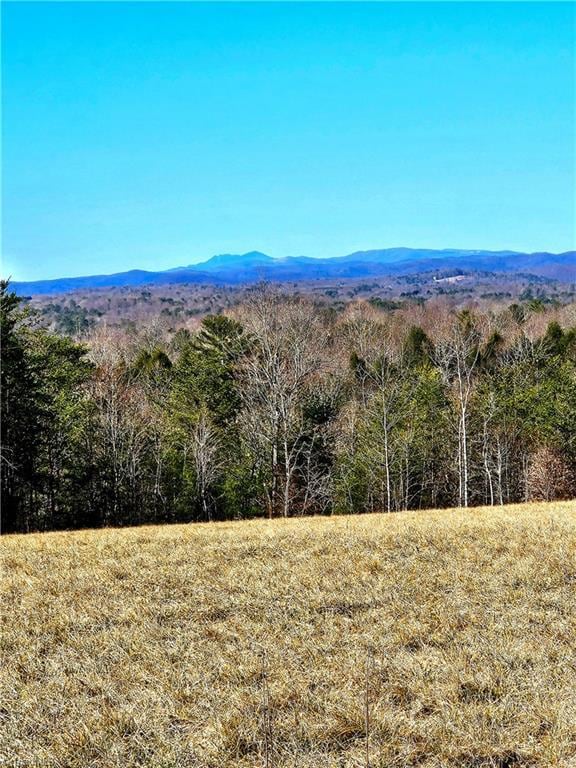 00 Byrd Ridge Rd, North Wilkesboro NC, 28659 land for sale