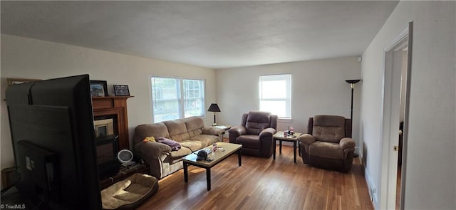 living room with a glass covered fireplace and wood finished floors