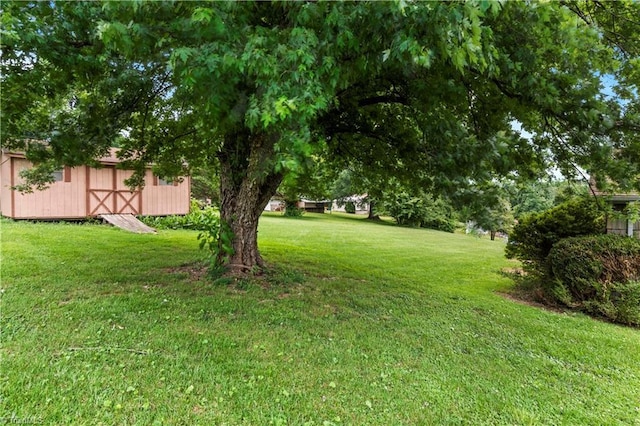 103 E St, Jonesville, NC 28642 - view of grassy yard with a storage unit