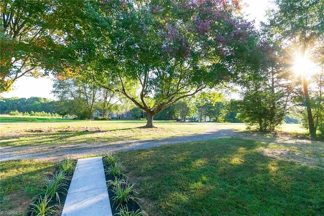 surrounding community featuring a yard