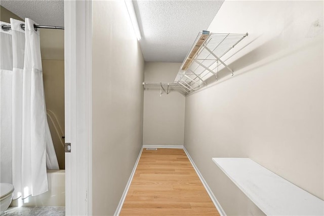 spacious closet featuring a barn door and hardwood / wood-style floors