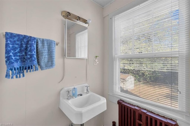 bathroom featuring radiator and sink