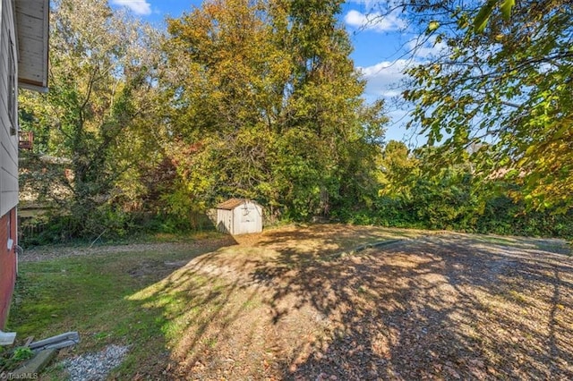 view of yard featuring a storage shed