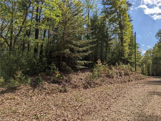 Listing photo 3 for TBD Sutters Ridge Rd Lot 94, Mcgrady NC 28649