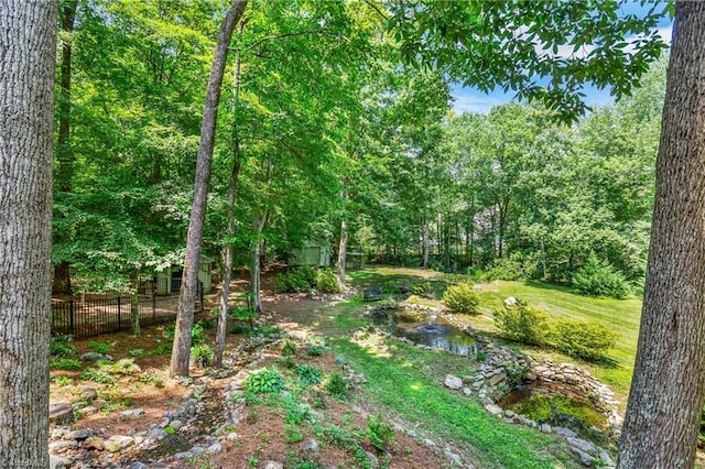 8300 Trottington Rd, Stokesdale, NC 27357 - view of tree filled area