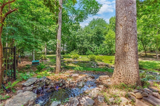 8300 Trottington Rd, Stokesdale, NC 27357 - view of nature