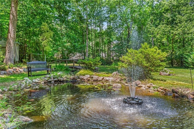 8300 Trottington Rd, Stokesdale, NC 27357 - view of property's community
