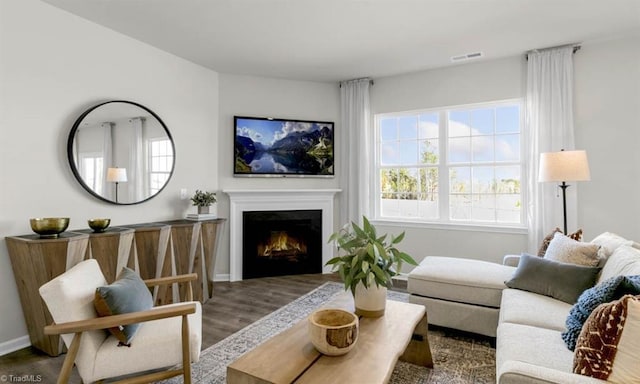 living room featuring dark hardwood / wood-style floors