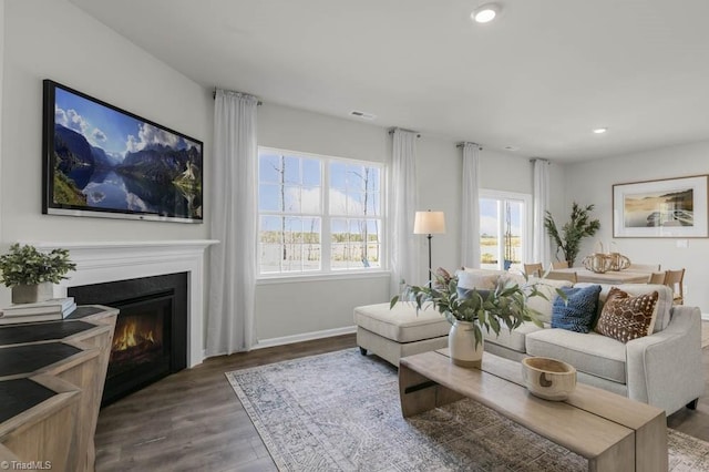 living room featuring dark wood-type flooring