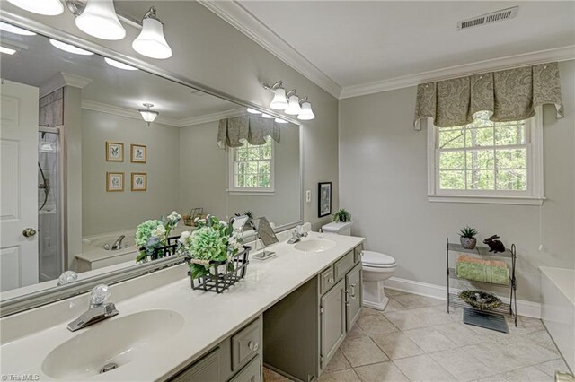 bathroom featuring a sink, ornamental molding, and visible vents