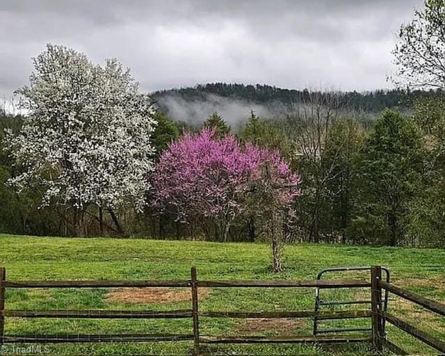 1715 Alfred Hartley Rd, Lenoir, NC 28645 - view of yard featuring a rural view