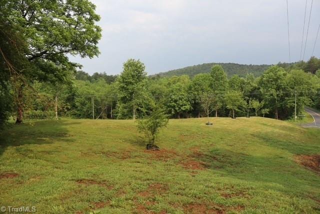 1715 Alfred Hartley Rd, Lenoir, NC 28645 - view of grassy yard featuring a wooded view