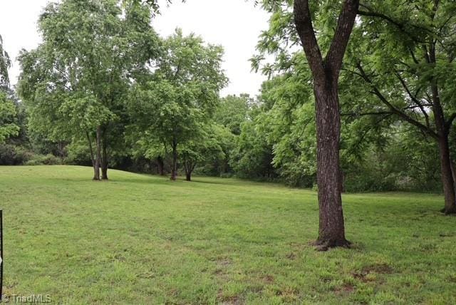 1715 Alfred Hartley Rd, Lenoir, NC 28645 - view of grassy yard