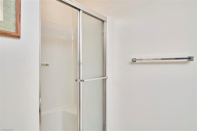4712 Brighton Park Dr Unit 1B, Winston-Salem, NC 27103 - bathroom featuring a shower stall