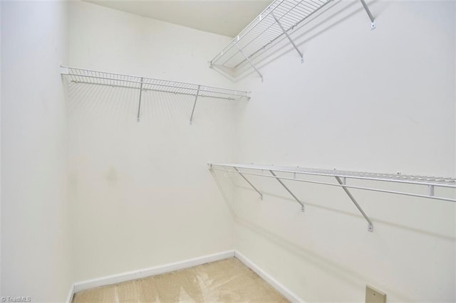 4712 Brighton Park Dr Unit 1B, Winston-Salem, NC 27103 - walk in closet featuring light colored carpet