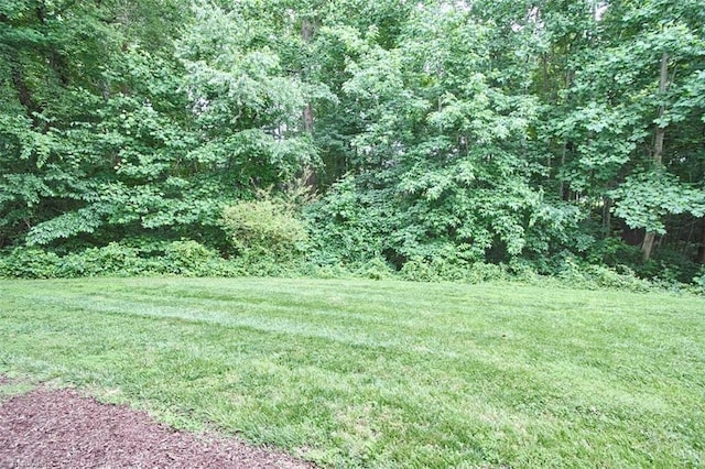 4712 Brighton Park Dr Unit 1B, Winston-Salem, NC 27103 - view of green lawn